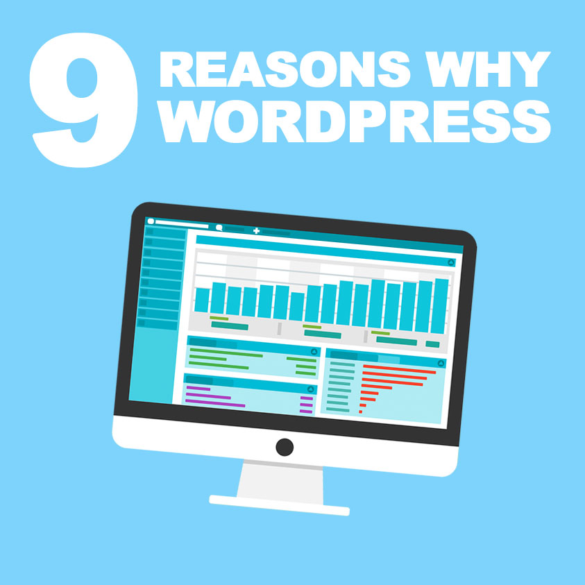9 Reasons Why WordPress is the Best CMS